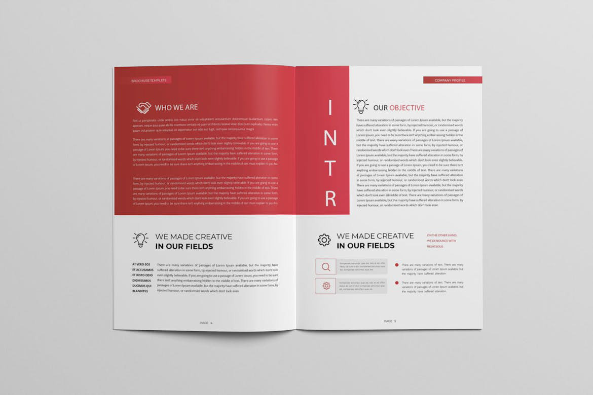 brochure brochure design brochures Brochure Template brochuredesign design graphic design  template InDesign Graphic Designer